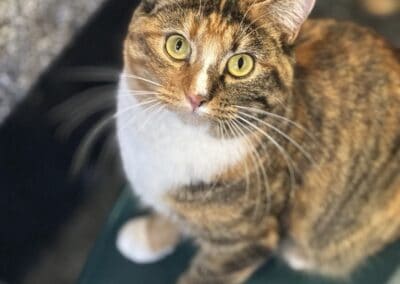 Gabriella