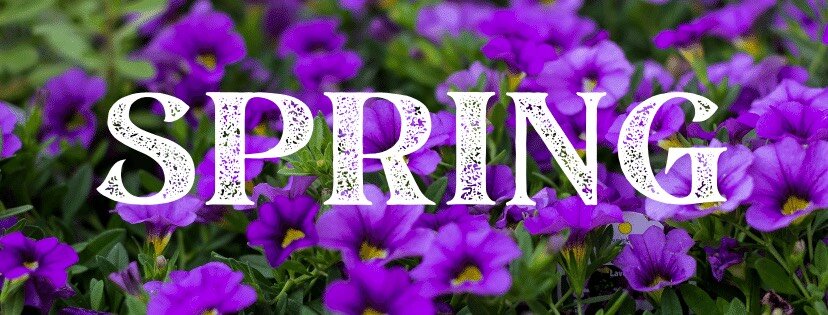 Growing Smiles Plant Fundraiser is Here!